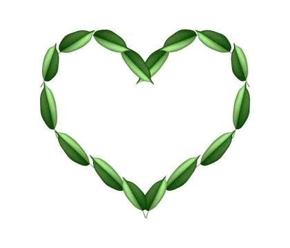 Beautiful Green Leaves in A Beautiful Heart 스톡 일러스트