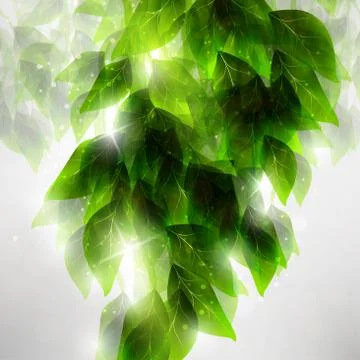 Beautiful green leaves Stock Illustration