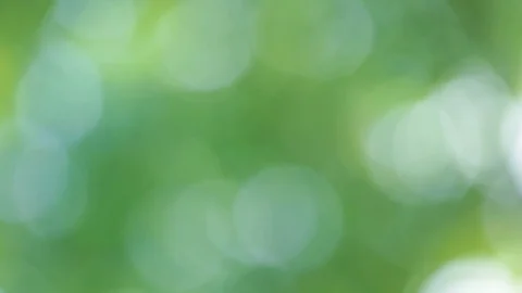 Beautiful green light summer or spring natural foliage blurry background Stock Footage