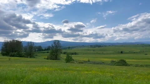 Beautiful green meadow on a cloudy spring day Stock Footage 242387634