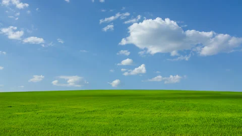 Beautiful green meadow under a cloudy sky, rural agricultural landscape Stock Footage 141212903