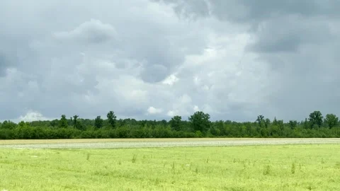Beautiful green meadow under a cloudy sky, rural agricultural landscape. Stock Footage 247178020