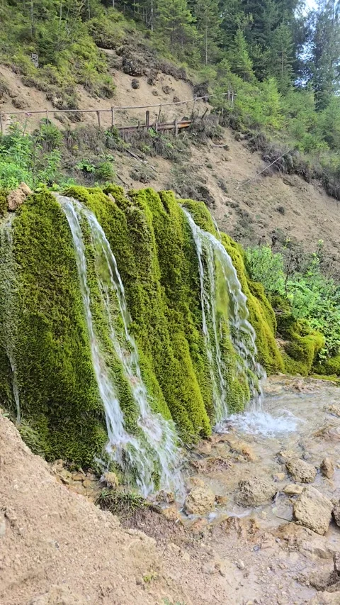 Beautiful green moss waterfall Stock Footage 318433673
