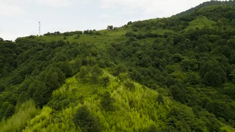 A beautiful Green mountain Stock Footage 256605011