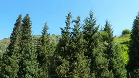 Beautiful green mountains Video stock 321426318
