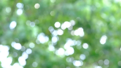 Beautiful green nature background Stock Footage 75813178