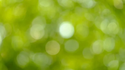 Beautiful green nature background Stock Footage 75846938
