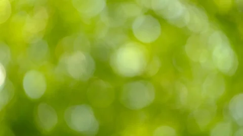 Beautiful green nature background Stock Footage 76020158