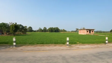 Beautiful green paddy fields, old humper house during sunset. 스톡 동영상 127722285