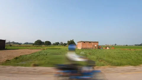 Beautiful green paddy fields, plants and houses during sunset.  Stock Footage 127724530