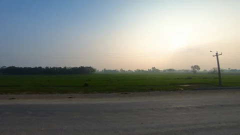Beautiful green paddy fields, plants and houses during sunset. 動画素材 127728891