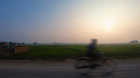 Beautiful green paddy fields, plants and houses during sunset.  動画素材 127729194