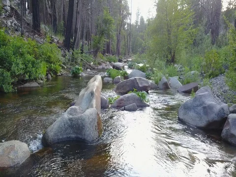 Beautiful Green River With Rocks Stock Footage 83220910
