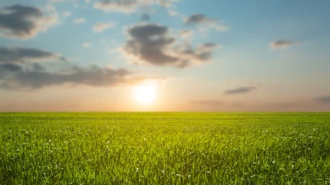 Beautiful green rural field at the dramatic sunset, time lapse scene Stock Footage 124701378