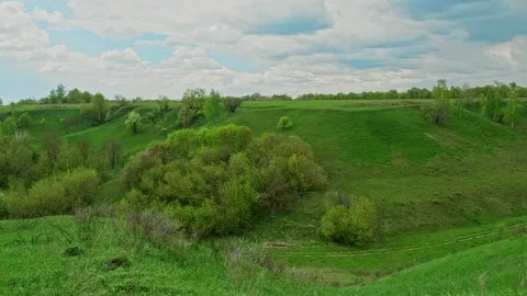 Beautiful green spring landscape with clouds Video stock 239579963