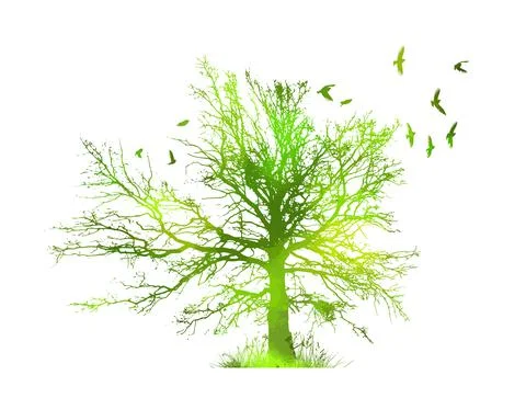 A beautiful green tree with birds . Vector illustration Stock Illustration
