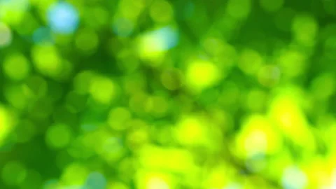 Beautiful green vibrant natural floral video bokeh abstract background Stock Footage