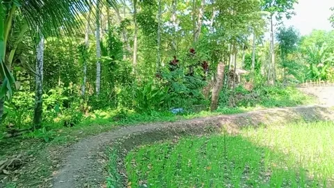 Beautiful green view 動画素材 288832308