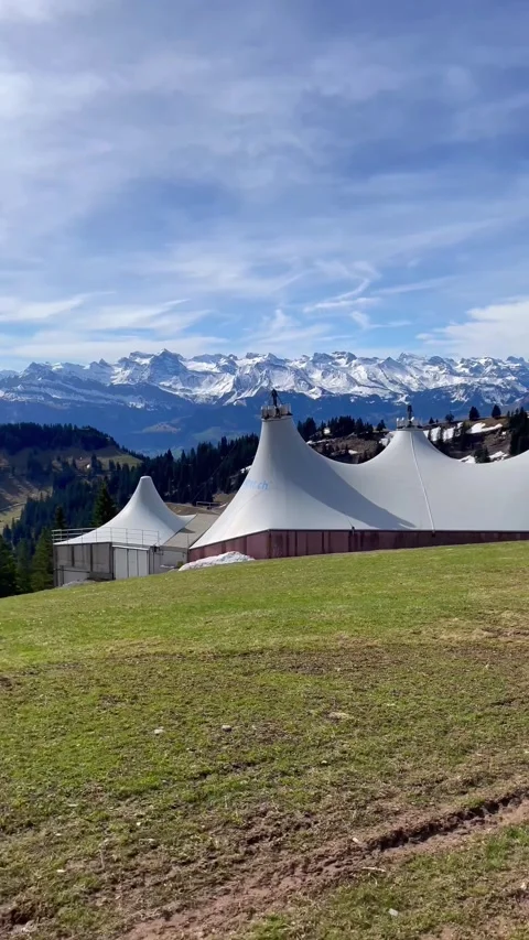 Beautiful Greenery view and grass flowers on natural mountain, Rigi Kulm, Switze 動画素材 274778393