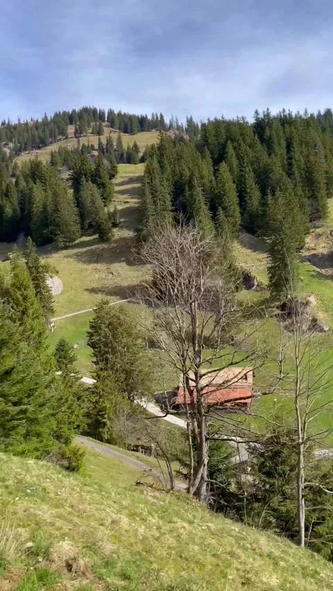 Beautiful Greenery view and grass flowers on natural mountain, Rigi Kulm, Switze 動画素材 274778396