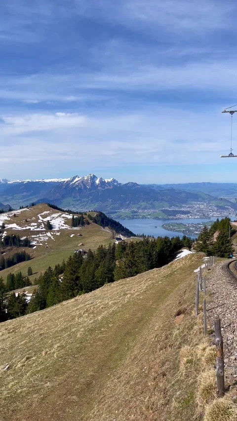 Beautiful Greenery view and grass flowers on natural mountain, Rigi Kulm, Switze 動画素材 274778397