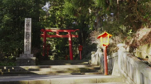 Beautiful Hakone Shrine  Stock Footage