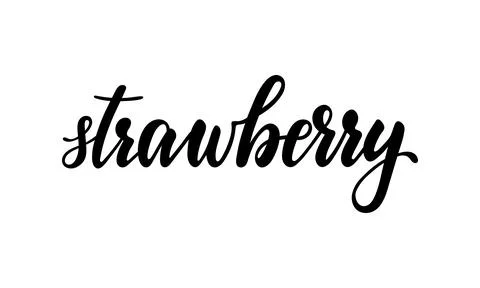 Beautiful Hand drawn creative calligraphy, brush pen lettering text strawbe.. Stock Illustration