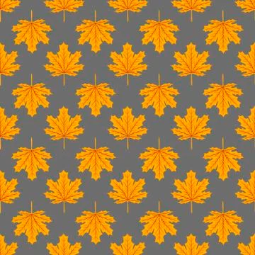 Beautiful Hand drawn Maple leaves mix with modern line in maple shape and autumn Stock Illustration