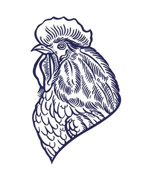 Beautiful hand-drawn rooster Stock Illustration
