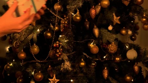 Beautiful hands give a gift on the background of the Christmas tree. Gift box  動画素材 120134119