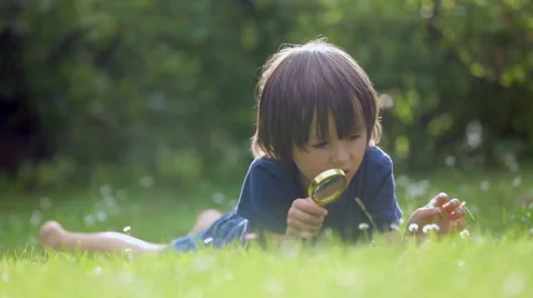 Beautiful happy child, boy, exploring na... | Stock Video | Pond5