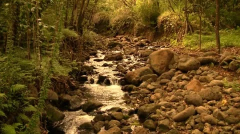 Beautiful Hawaii River Flow Video stock 8928224