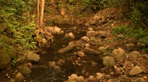 Beautiful Hawaii River Flow Video stock 8945226