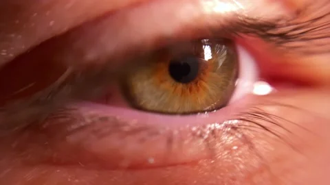 Beautiful Hazel Eye Macro Close-Up Stock Footage 235540417