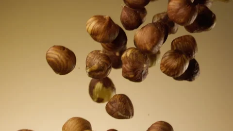 Beautiful hazelnuts falling in slow motion Stock Footage 150979190