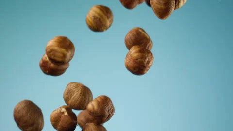 Beautiful hazelnuts falling in slow motion Stock Footage 151040999