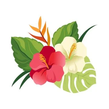 Beautiful hibiscus flowers and palm leaves. Elegant floral vector composition Stock Illustration