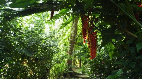 Yoga Skeleton – Rainforest Flora
