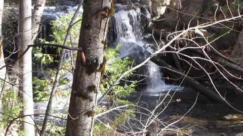 Beautiful hidden waterfall. Stock Footage 43968328