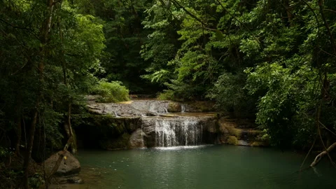 Beautiful hidden Waterfall in rainforest Stock Footage 236741438