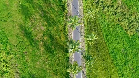 Beautiful high angle Composition_1 Stock Footage 103986891