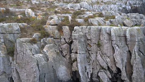 Beautiful high cliffs by the ocean. A seagull sits on the rocks. Video stock 116266963