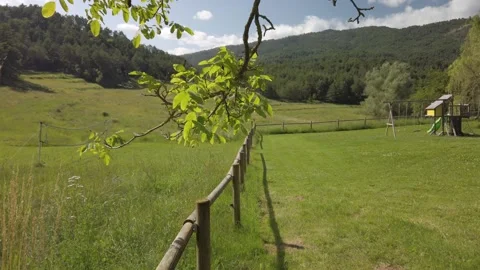 Beautiful high mountain meadow during a sunny summer day Stock Footage 134606409