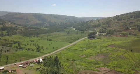 BEAUTIFUL HILLS OF UGANDA Stock Footage 172332275