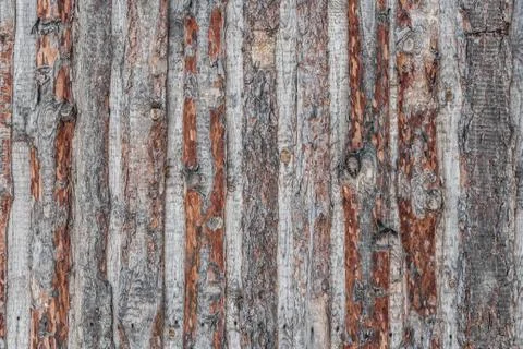A beautiful horizontal texture of old brown and gray wooden boards fence from Stock Photos