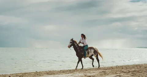 Beautiful Horse Ride at Beach Stock Footage 135193653