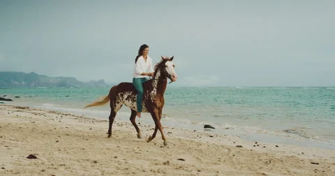 Beautiful Horseride at Beach Stock Footage 135192598