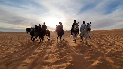 Beautiful Horses Walking In Desert Sahara Stock Footage