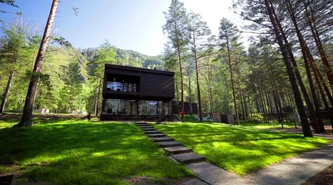 Beautiful house in a pine forest, the green grass, lawn Stock Footage