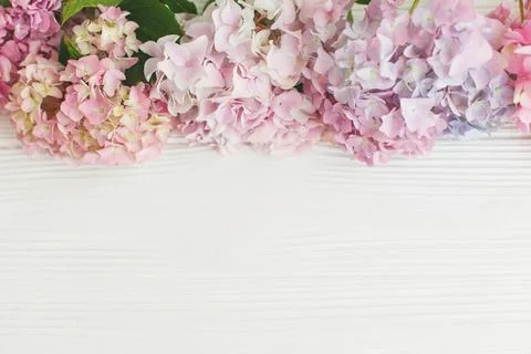 Beautiful hydrangea border on rustic white wood, flat lay. Floral greeting .. Foto stock